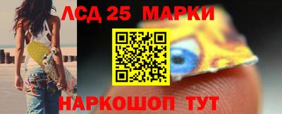 прущие грибы Дубна