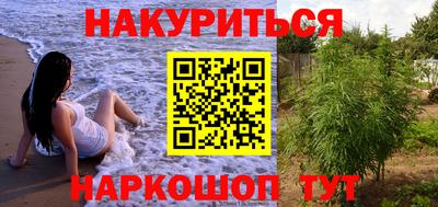 прущие грибы Дубна