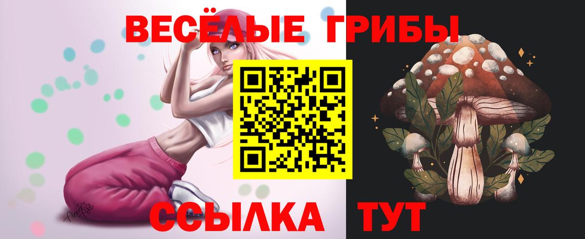 Галлюциногенные грибы прущие грибы Кропоткин